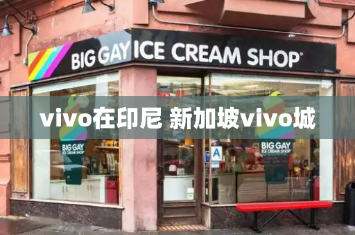 vivo在印尼 新加坡vivo城