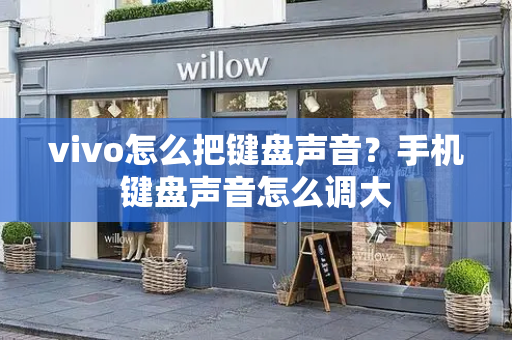 vivo怎么把键盘声音？手机键盘声音怎么调大-第1张图片-星选测评