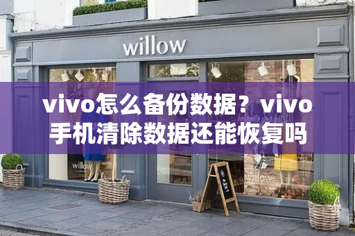 vivo怎么备份数据？vivo手机清除数据还能恢复吗