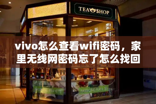 vivo怎么查看wifi密码，家里无线网密码忘了怎么找回密码