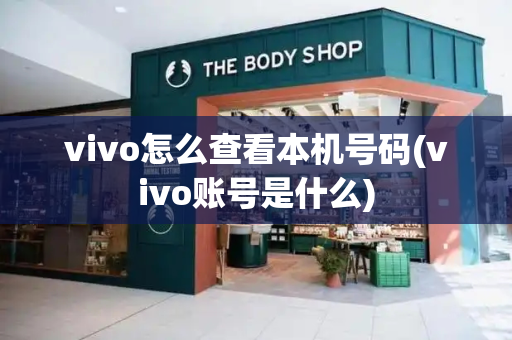 vivo怎么查看本机号码(vivo账号是什么)