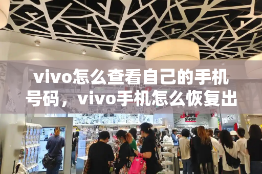 vivo怎么查看自己的手机号码，vivo手机怎么恢复出厂设置-第1张图片-星选测评