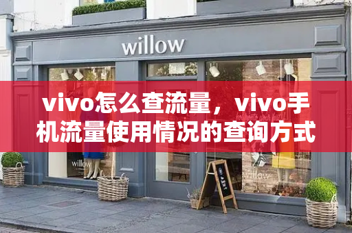 vivo怎么查流量，vivo手机流量使用情况的查询方式