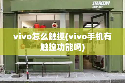vivo怎么触摸(vivo手机有触控功能吗)-第1张图片-星选测评