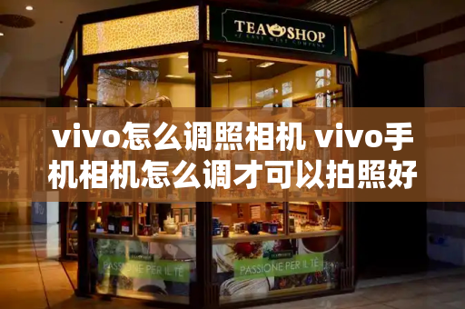 vivo怎么调照相机 vivo手机相机怎么调才可以拍照好看-第1张图片-星选测评