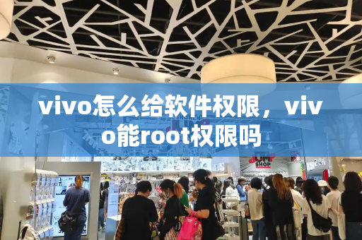vivo怎么给软件权限，vivo能root权限吗