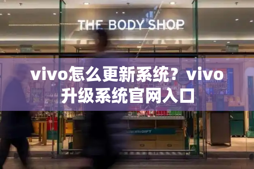 vivo怎么更新系统？vivo升级系统官网入口-第1张图片-星选测评