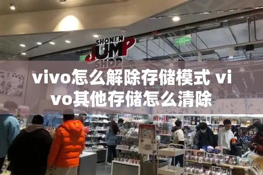 vivo怎么解除存储模式 vivo其他存储怎么清除-第1张图片-星选测评