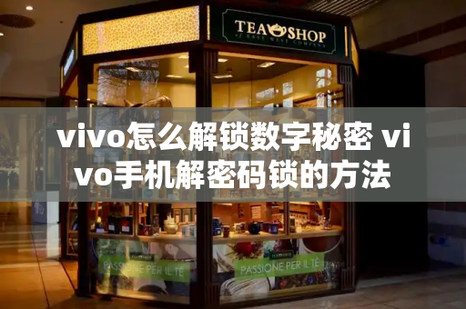 vivo怎么解锁数字秘密 vivo手机解密码锁的方法