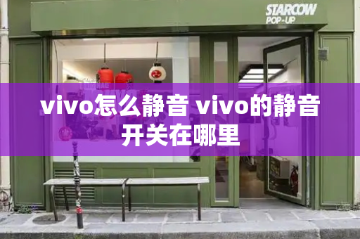 vivo怎么静音 vivo的静音开关在哪里-第1张图片-星选测评