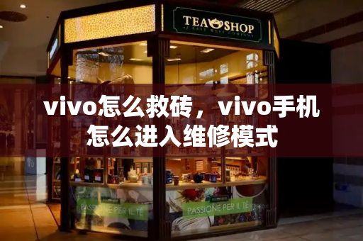 vivo怎么救砖，vivo手机怎么进入维修模式