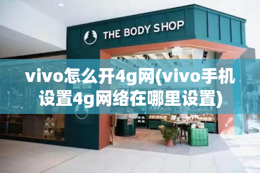 vivo怎么开4g网(vivo手机设置4g网络在哪里设置)