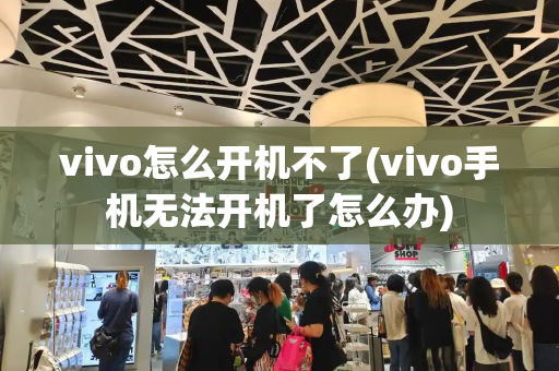 vivo怎么开机不了(vivo手机无法开机了怎么办)