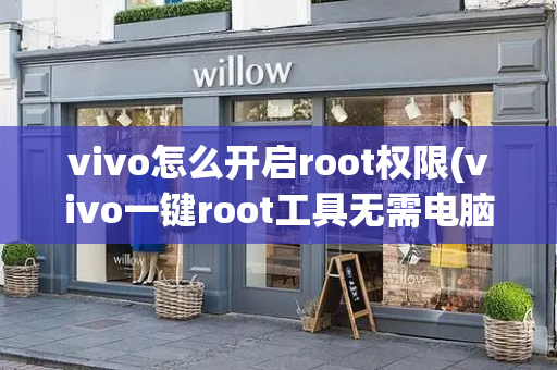 vivo怎么开启root权限(vivo一键root工具无需电脑)-第1张图片-星选测评
