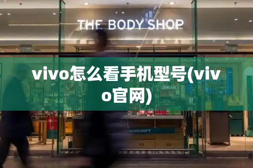vivo怎么看手机型号(vivo官网)-第1张图片-星选测评