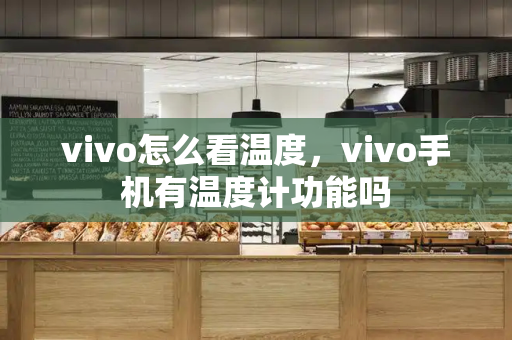 vivo怎么看温度，vivo手机有温度计功能吗