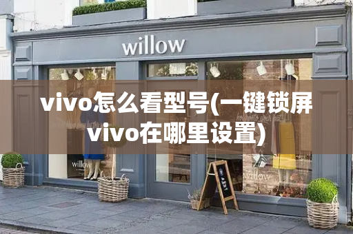 vivo怎么看型号(一键锁屏vivo在哪里设置)-第1张图片-星选测评