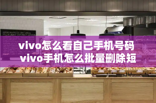 vivo怎么看自己手机号码 vivo手机怎么批量删除短信-第1张图片-星选测评
