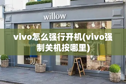 vivo怎么强行开机(vivo强制关机按哪里)