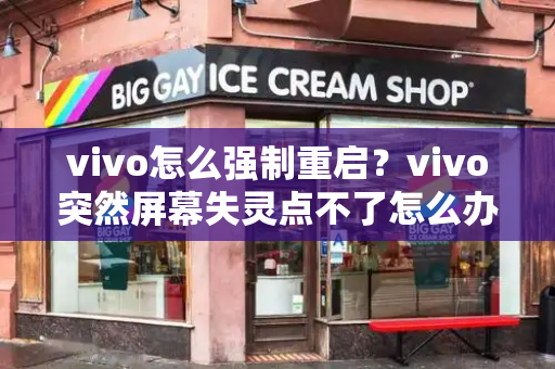 vivo怎么强制重启？vivo突然屏幕失灵点不了怎么办-第1张图片-星选测评