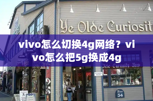 vivo怎么切换4g网络？vivo怎么把5g换成4g
