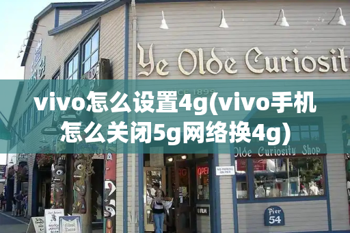vivo怎么设置4g(vivo手机怎么关闭5g网络换4g)-第1张图片-星选测评