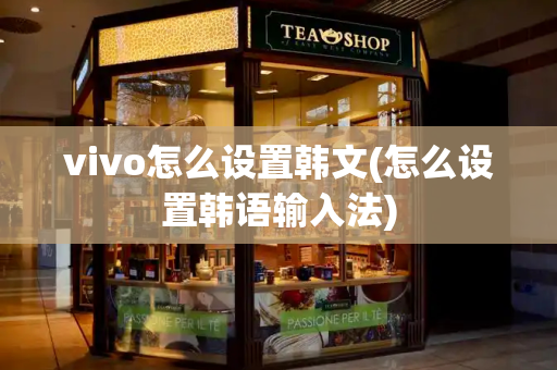 vivo怎么设置韩文(怎么设置韩语输入法)-第1张图片-星选测评