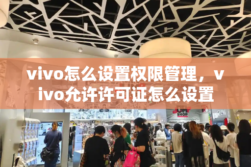 vivo怎么设置权限管理，vivo允许许可证怎么设置