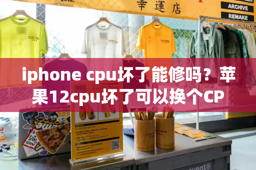 iphone cpu坏了能修吗？苹果12cpu坏了可以换个CPU吗-第1张图片-星选测评