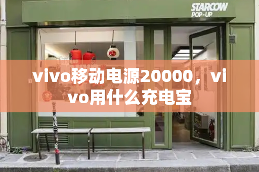 vivo移动电源20000，vivo用什么充电宝-第1张图片-星选测评