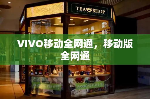 VIVO移动全网通，移动版全网通-第1张图片-星选测评