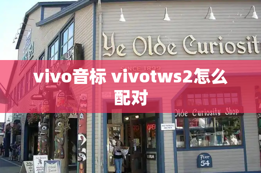 vivo音标 vivotws2怎么配对