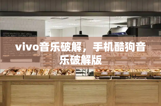 vivo音乐破解，手机酷狗音乐破解版-第1张图片-星选测评