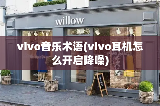 vivo音乐术语(vivo耳机怎么开启降噪)