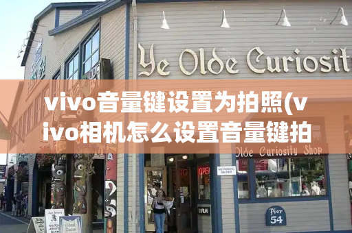 vivo音量键设置为拍照(vivo相机怎么设置音量键拍照)