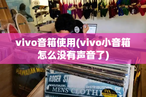 vivo音箱使用(vivo小音箱怎么没有声音了)-第1张图片-星选测评