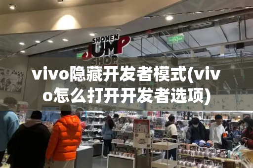 vivo隐藏开发者模式(vivo怎么打开开发者选项)