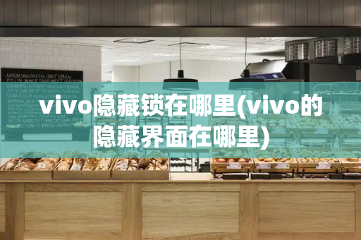 vivo隐藏锁在哪里(vivo的隐藏界面在哪里)