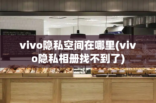 vivo隐私空间在哪里(vivo隐私相册找不到了)