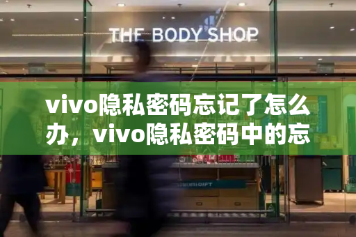 vivo隐私密码忘记了怎么办，vivo隐私密码中的忘记密码如何解除-第1张图片-星选测评