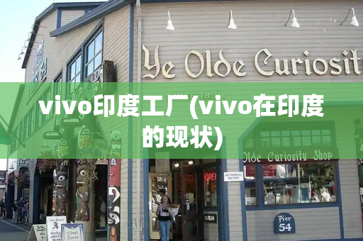 vivo印度工厂(vivo在印度的现状)-第1张图片-星选测评