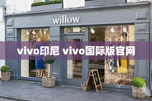 vivo印尼 vivo国际版官网