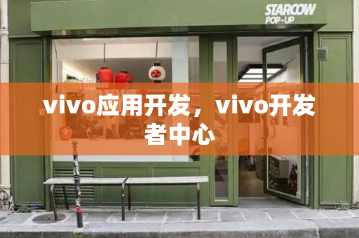 vivo应用开发，vivo开发者中心