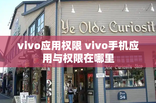 vivo应用权限 vivo手机应用与权限在哪里