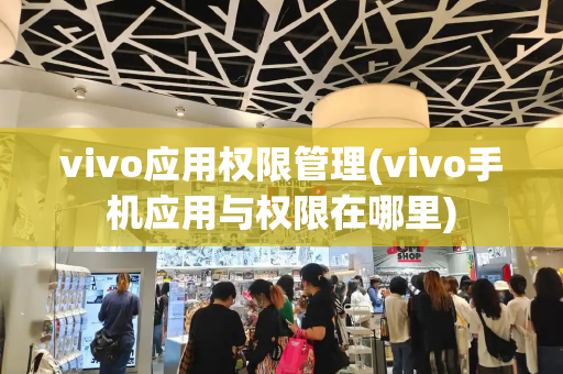 vivo应用权限管理(vivo手机应用与权限在哪里)