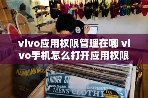 vivo应用权限管理在哪 vivo手机怎么打开应用权限