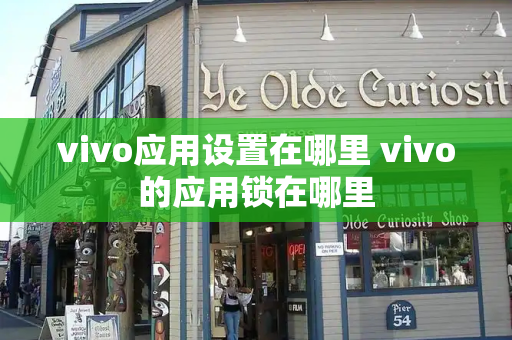 vivo应用设置在哪里 vivo的应用锁在哪里-第1张图片-星选测评