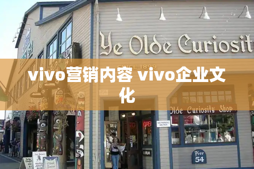 vivo营销内容 vivo企业文化-第1张图片-星选测评