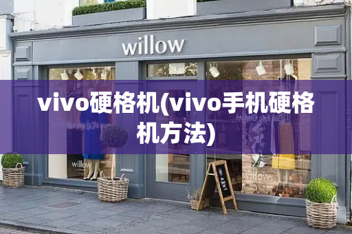 vivo硬格机(vivo手机硬格机方法)-第1张图片-星选测评