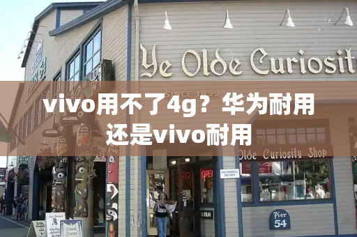 vivo用不了4g？华为耐用还是vivo耐用
